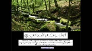 Surah Al Mulk سورة الملك Ustaz nafis yaakub [upl. by Atinek]