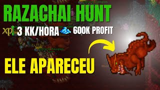 Tibia  EK Solo 300 Hunt Alternativa Wote missão 8 [upl. by Grieve335]