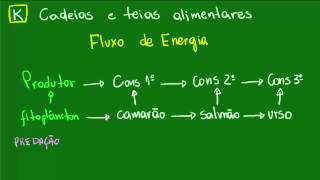 Cadeias alimentares  Ecologia  Biologia [upl. by Adle]