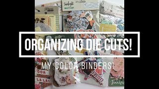 Organizing Die Cuts amp Ephemera  My Color Binders [upl. by Uthrop]