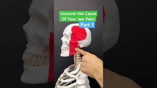 Part 1 Do you want to find out where that pesky jaw pain is coming from Watch this video jawpain [upl. by Leahcimluap]