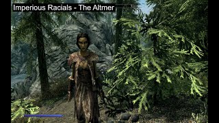 Imperious Races of Skyrim Special Edition  The Altmer  Part One [upl. by Vidda]