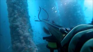 Spearfishing Under The Eureka Oil Rig [upl. by Jessalin]