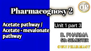 Acetate pathway  Acetate  mevalonate pathway  Pharmacognosy 2 [upl. by Rodina]