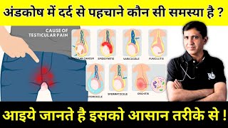 Testicular Pain  अंडकोष में दर्द की समस्या को कैसे पहचाने   By Dr Ramdeo Lamoria [upl. by Firooc]