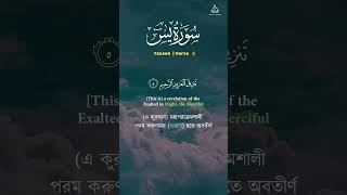 Surah Yaseen Yasin 16 সূরা ইয়াসিন سورة يس quranverses qurantranslation quran shorts [upl. by Atnuahc]