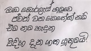 ගමට නම  බොරලැස්ගමුව   Boralesgamuwa [upl. by Gareri]