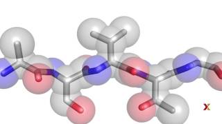 Principles of Biochemistry  Harvardx on edX [upl. by Trebled975]