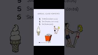 Adrenal gland hormones nclex nclexexam [upl. by Gereron172]