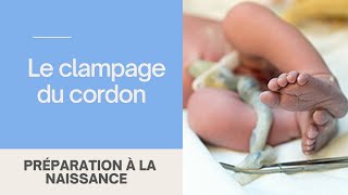 Clampage du cordon ombilical précoce ou tardif [upl. by Saunderson]