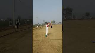 1st slip catchtrending cricket shortsvideo [upl. by Aniryt558]