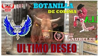 QUE PORRAZO SEÑORES BOTANILLA DE COLIMA VS ÚLTIMO DESEODE RANCHO LOS LAURELES LOS TOROS DIVINOS [upl. by Euphemie295]