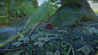 Planet Zoo Exhibit  Giant Burrowing Cockroach [upl. by Angelita]