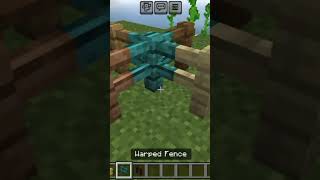 Minecraft fence moment minecraft vairalvideo [upl. by Ellehcin185]