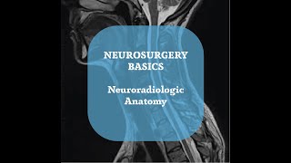 Neurosurgery Basics Lecture  Neuroradiologic Anatomy Part 4 [upl. by Nosnarb657]