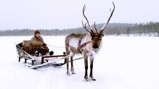 Magical Finland Sleigh Ride  Reindeer Family and Me  BBC Earth [upl. by Sisco454]