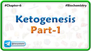 12 Ketogenesis  part  1  Lipid Metabolism [upl. by Cran362]