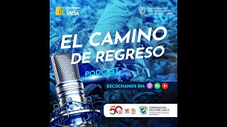 Tráiler El camino de regreso [upl. by Oswal]