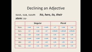 Latin for Beginners Lesson 10 FirstSecond Declension Adjectives [upl. by Enaek]