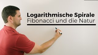 Logarithmische Spirale Fibonacci und die Natur Mathematik im Alltag Mathe by Daniel Jung [upl. by Lumbard320]