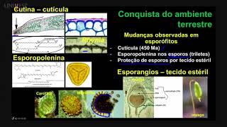 Taxonomia Vegetal  Aula 06  Embriófitas Adaptação ao ambiente terrestre [upl. by Heppman]