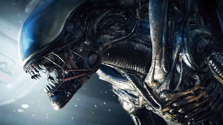 ALIEN  HISTÓRIA E BIOLOGIA DOS ASSUSTADORES XENOMORFOS [upl. by Eirb793]