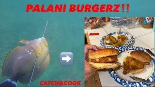 First Diving Video  PALANI BURGERZ  Catch N Cook  Hawai’i Spearfishing [upl. by Monahon]