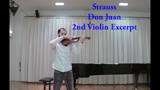 Strauss Don Juan 2nd Violin Excerpt [upl. by Anwahsar]