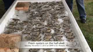 Get ready for OysterFest 2013 at the Chesapeake Bay Maritime Museum [upl. by Murage]