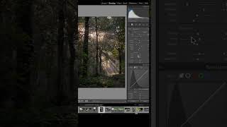 Quick Tips  Editing a Forest Scene [upl. by Wasson494]