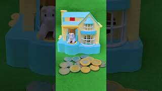 Dog poppy condition House amp the kitchen box piggy bank funny shorts viralvideo ytshorts [upl. by Brookner481]