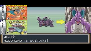 How to Evolve Nidorino to Nidoking in Pokemon Fire RedLeaf Green Easiest Method [upl. by Bailey]