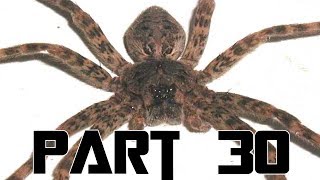 Dark Souls 2 Blind Playthrough Episode 30  Giant Spiders [upl. by Ahsyad84]