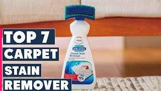 Top 7 Carpet Stain Removers for Every Household [upl. by Matronna]