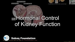 Hormonal Control of Kidney Function Biology Lecture  Sabaqpk [upl. by Rodmun]