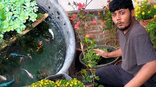 ছাদে ফুল বাগানের মধ্যে ছোট্ট মাছের পুকুর  DIY Mini Pond [upl. by Jody]