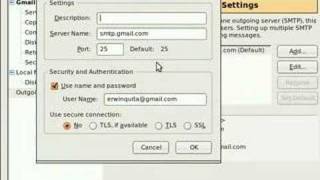 Setup gmail using thunderbird email client [upl. by Hilliary173]