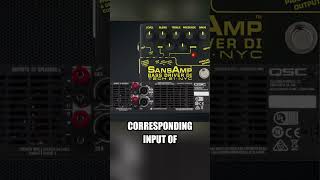 Unlock the Full Potential of Your SansAmp Bass Driver DI [upl. by Foah]