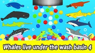 EN Whales live under the wash basin 4 kids animals animation whales adventureㅣCoCosToy [upl. by Kandace109]