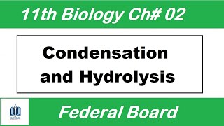 Condensation and Hydrolysis Ch2  class 11 biology fbise  Ilmi Stars Academy [upl. by Nakre]