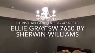 Ellie Gray paint color SW 7650 by SherwinWilliams [upl. by Notneiuq98]