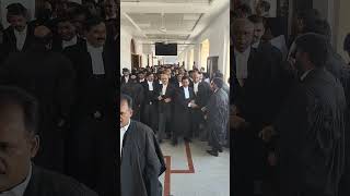 lawgical judgepower judicialpower highcourt highcourtallahabad advocate shorts shortsvideo [upl. by Yengac]