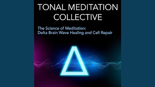 Hypothalamus and Suprachiasmatic Nucleus Scn Activation for Healing Circadian Rhythms and [upl. by Kariotta]