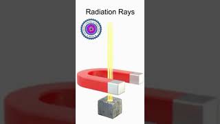 Alpha Beta and Gamma Radiation  Ionisation and Penetration  GCSE Physics Revision [upl. by Lucic]