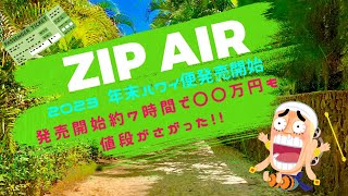 2023年末年始ハワイの航空券ZIP AIRで早々に購入。購入後に値段をみたらビックリなんと〇〇万円も安くなっていた。 [upl. by Ellesij]