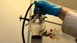 Porphyrin Bootcamp  Column Chromatography [upl. by Enoek203]