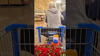 Maximum Security Secret Shopping People In Walmart prank laugh funny reaction shorts [upl. by Dearden]