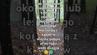 UWAGA ❗❗❗Źródło Wody Pitnej 🤔  Chyba Już Jednak NIE DO SPOŻYCIA [upl. by Aehsan258]