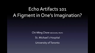 Echo Artifacts 101 A Figment of Ones Imagination [upl. by Yojal594]