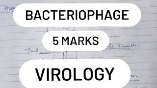 Bacteriophage  Virology  5 Marks Question [upl. by Yaned650]